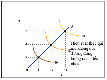năng suất theo quy mô