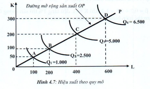 hiệu suất theo quy mô