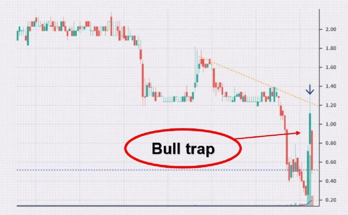 bull trap là gì bull trap là gì
