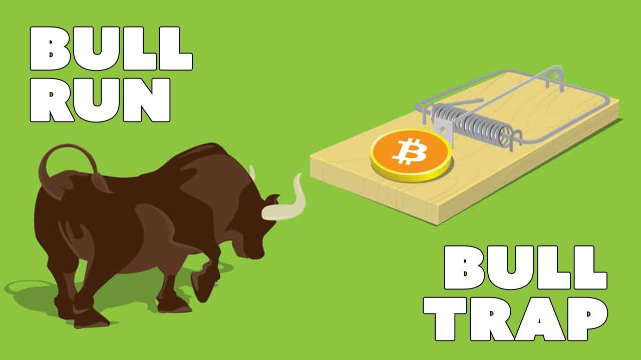 cách xử lý khi gặp bull trap cách xử lý khi gặp bull trap