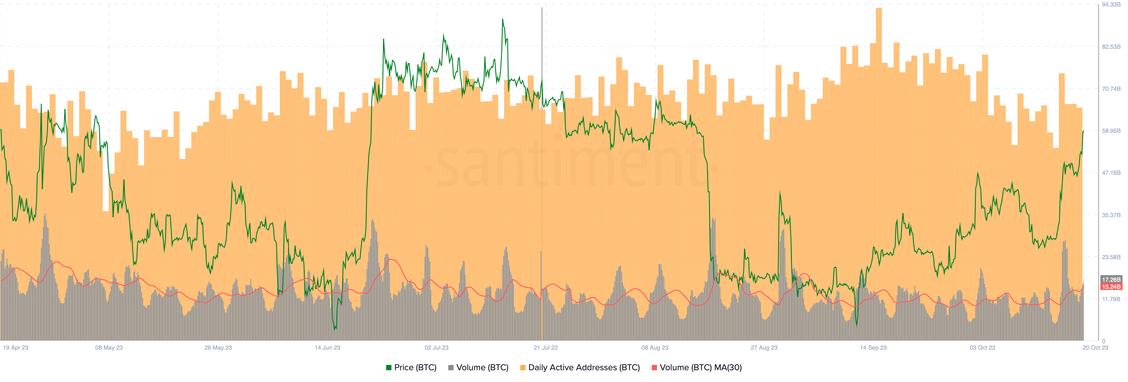 Bò Bitcoin quyết định “số phận” đợt tăng giá năm 2023