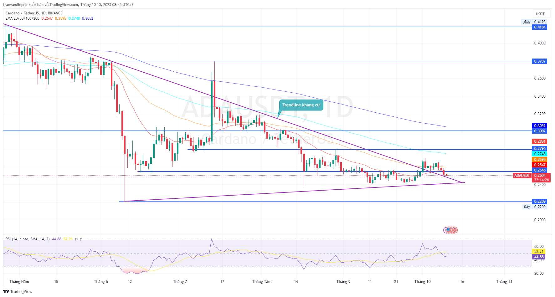 Bản tin Coin sáng ngày [10/10/2023]