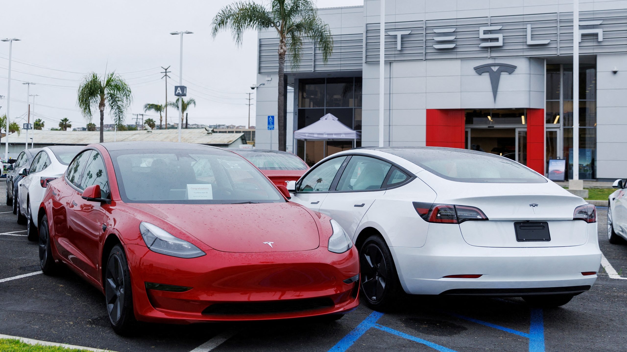 Tại sao Tesla vẫn có khả năng tiếp tục tăng trưởng mạnh mẽ bất chấp lãi suất cao?