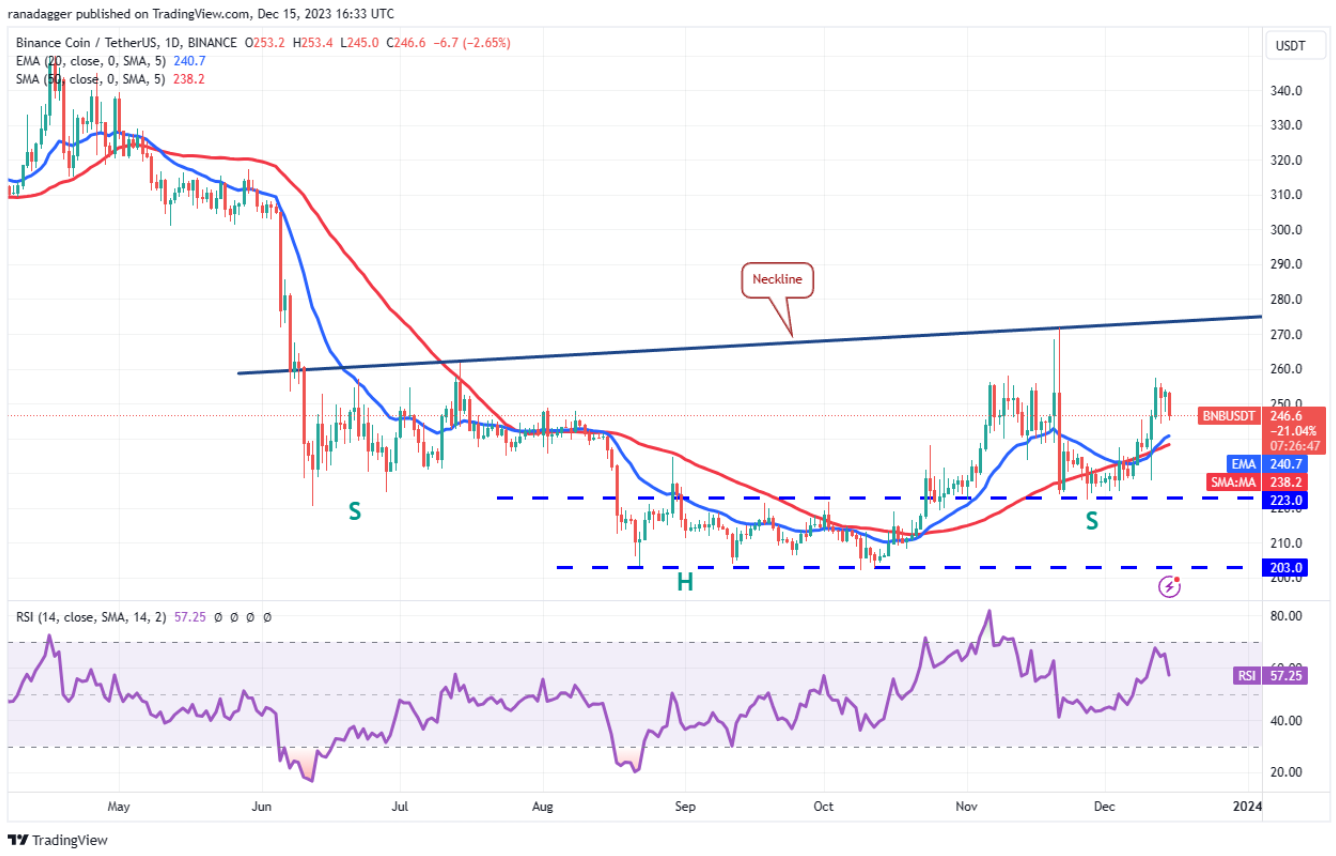Biểu đồ hàng ngày BNB/USDT. Nguồn: TradingView