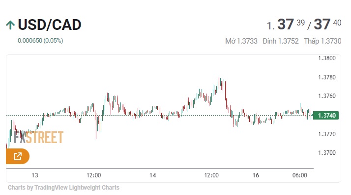 Tin vàng - dầu - Forex ngày 17/6/2024: “Vàng đen” hạ nhiệt sau tuần tăng giá mạnh