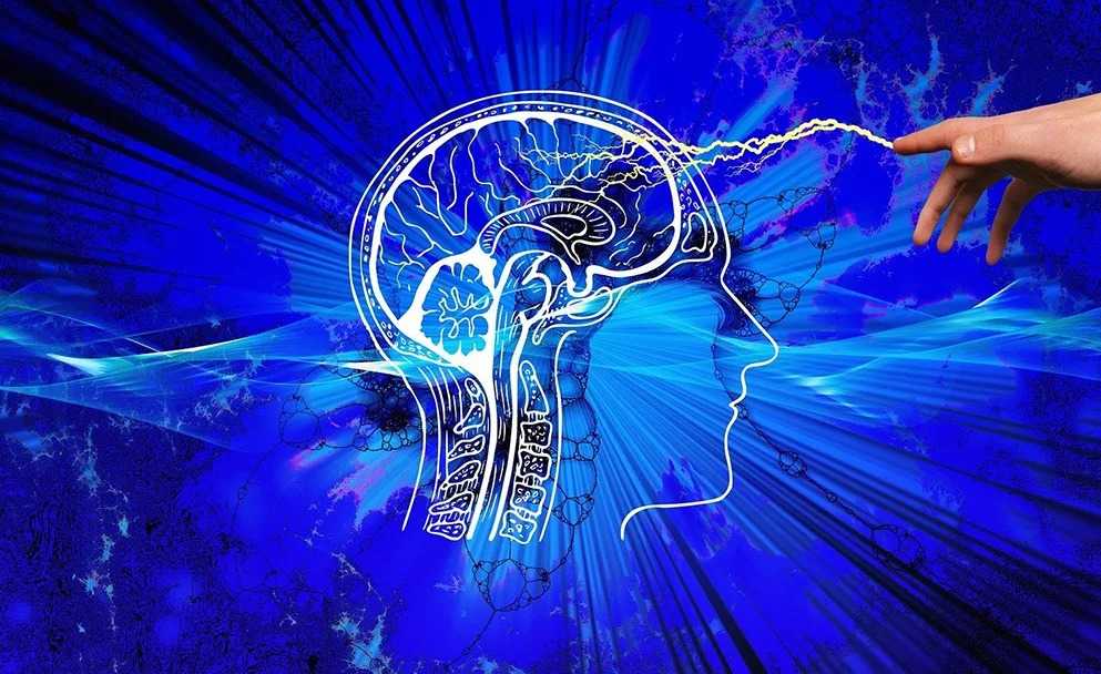 Làm thế nào để trader phát triển bộ não giao dịch hiệu quả?