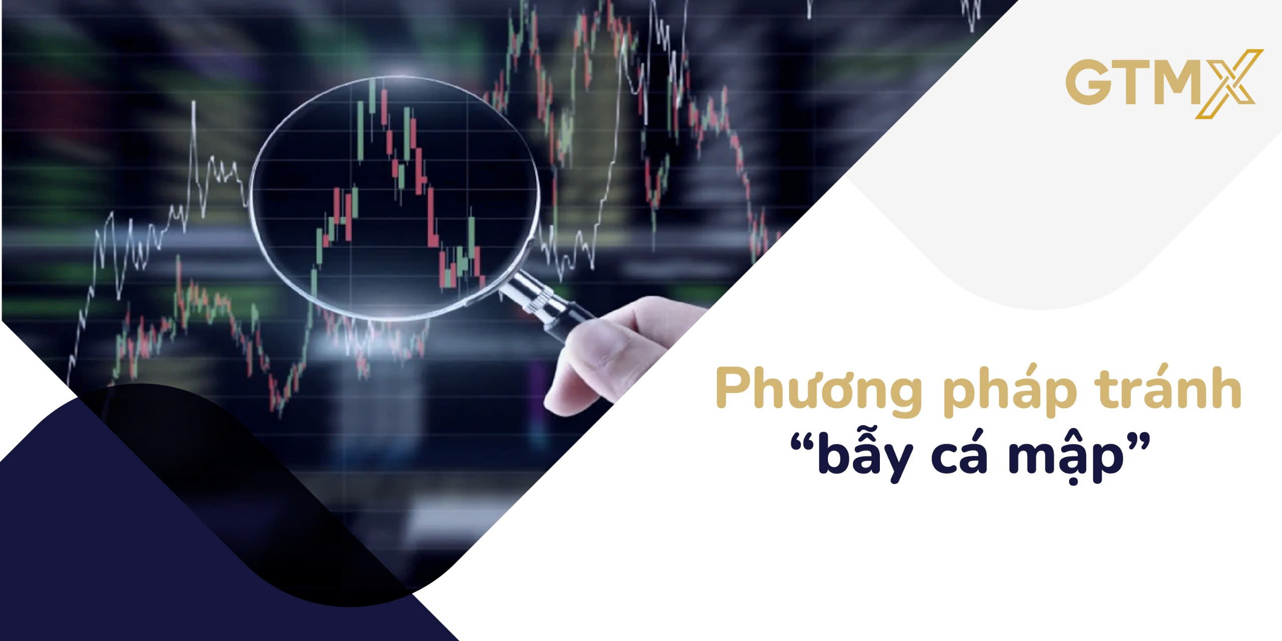 Phương pháp tránh “bẫy cá mập” 
