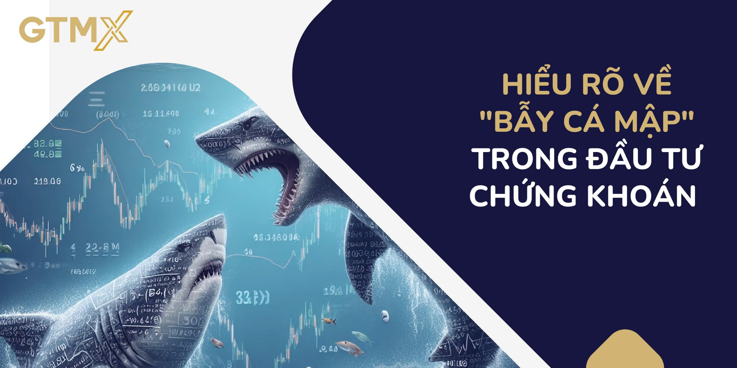 HIỂU RÕ VỀ "BẪY CÁ MẬP" TRONG ĐẦU TƯ CHỨNG KHOÁN 
